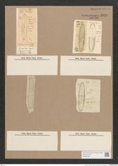 Navicula sp. (de-Toni-Nr.: Genus 1) Zeichnungen Sammlung Grunow Nr. 1629 (NHMW-BOT-W0368188)